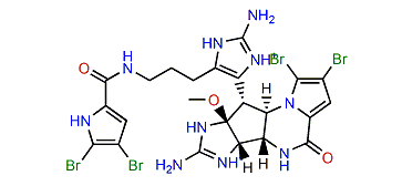 Agelamadin A